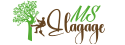 MS Élagage | Votre entreprise en Meurthe-et-Moselle